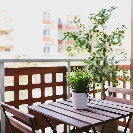 Apartment Apartamento Medano *